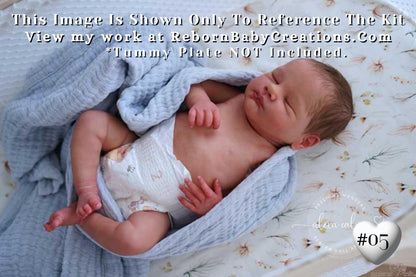 Pre-Order Opens 2/27 **Hyper-Realistic** Reborn LE Lovan by Cassie Ann Brace (20" + Full Limbs)