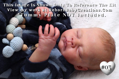 Hyper-Realistic Reborn LE Theo by Doris Moyers Hornbogen (19"+Full Limbs)