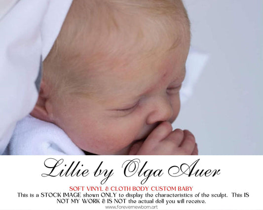 Amazing Hyper-Realistic Reborn Custom Doll LE Reborn BaBy Lillie by Olga Auer (19" + Full Limbs)
