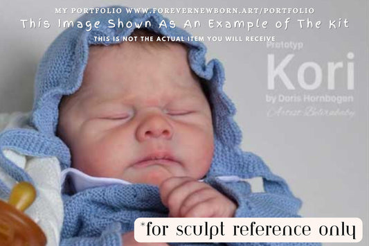 Amazing Hyper-Realistic Reborn Custom Doll Kori by Doris Moyers Hornbogen 19" Full Limbs