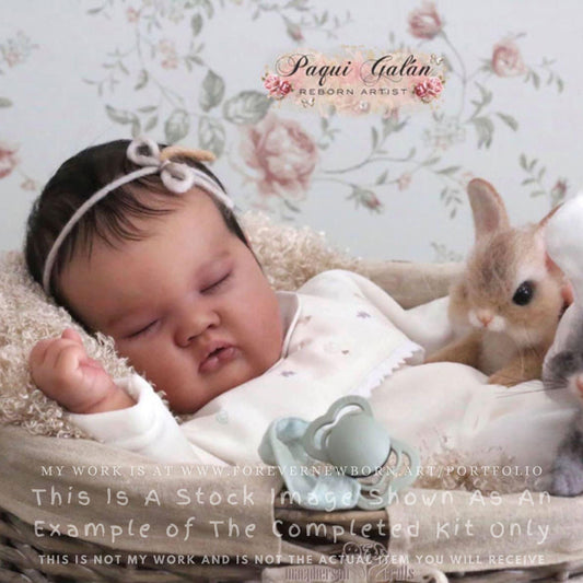 Reborn Baby **Hyper-Realistic** Reborn Doll Ashia by Laura Lee Eagles (20"+Full Limbs)
