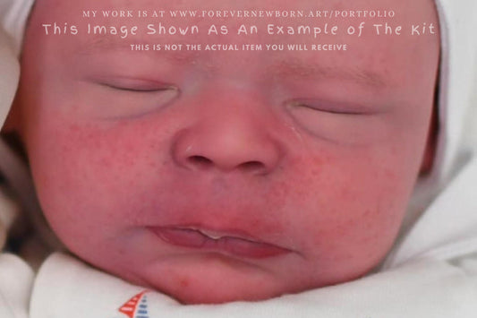 Extremely Realistic Reborn Baby Doll ~ Reborn Baby **Hyper-Realistic** Reborn Doll Esra by Melanie Gebhardt 19" Full Limbs