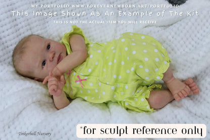 Reborn Baby **Hyper-Realistic** Reborn Doll Bo by Sandy Faber 18" Full Limbs
