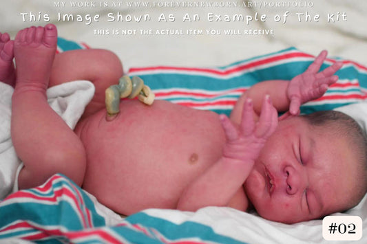 Amazing Hyper-Realistic Reborn Custom Doll LE Ravy by Priscila Lopez (22"+Full Limbs)