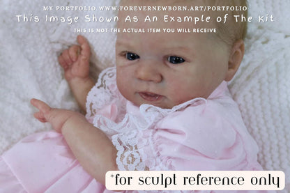 Reborn Baby **Hyper-Realistic** Reborn Doll Bo by Sandy Faber 18" Full Limbs