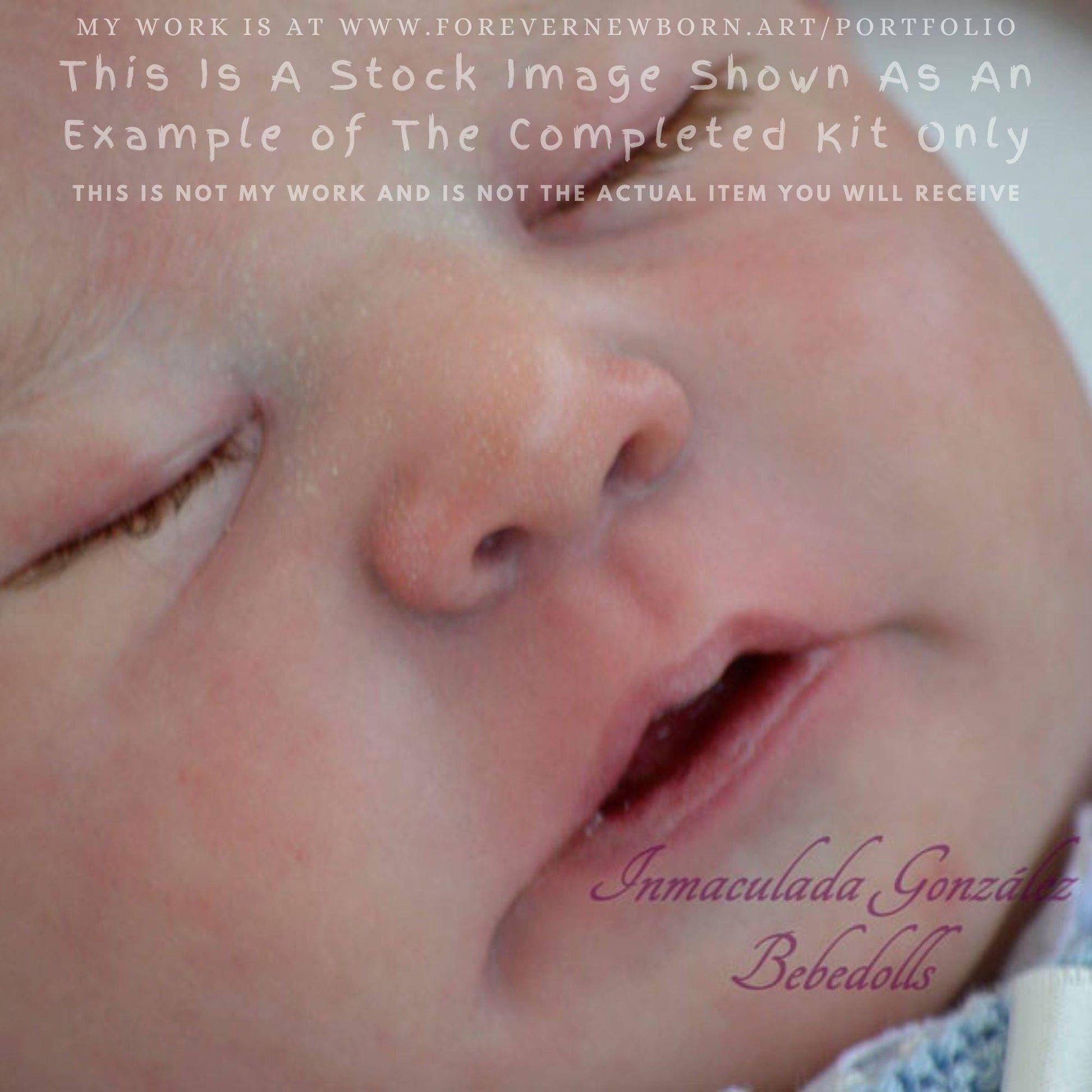 Reborn Baby **Hyper-Realistic** Reborn Doll Chase by Bonnie Brown (21"+Full Limbs)