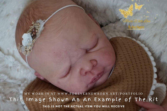 Free Baby Offer ~ Reborn Doll Sale ~ Custom Baby PREEMIE - Bruni by Adrie Stoete 16" Full Limbs