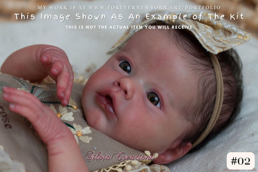 Extremely Realistic Reborn Baby Doll ~ CuStOm ReBoRn Primrose awake by Laura Lee Eagles (18"+Full Limbs)
