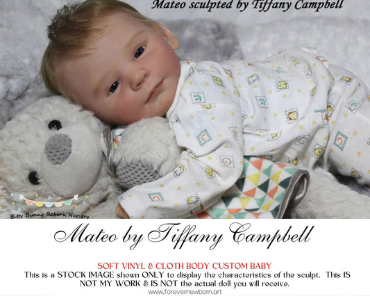 Lifelike Reborn Doll Mateo by Tiffany Campbell (20" + Full Limbs)