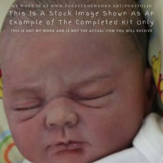 Amazing Hyper-Realistic Reborn Custom Doll Ivy by Elisa Marx 18" 5-7 lbs