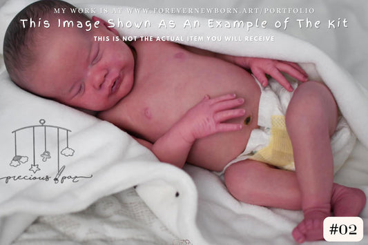 Extremely Realistic Reborn Baby Doll ~ CuStOm ReBoRn Primrose asleep by Laura Lee Eagles (18"+Full Limbs)