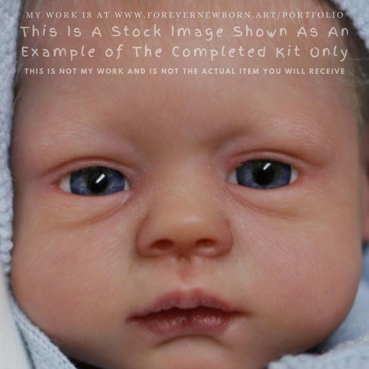 Extremely Realistic Reborn Baby Doll ~ Reborn Baby **Hyper-Realistic** Reborn Doll Elsa by Teresa De Castro (18"+Full Limbs)
