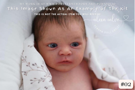 Amazing Hyper-Realistic Reborn Custom Doll Jasmim by Priscila Lopez (16"+Full Limbs)