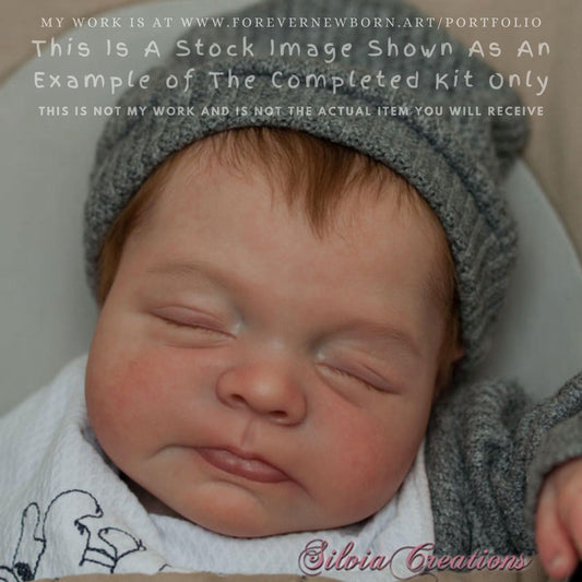 Extremely Realistic Reborn Baby Doll ~ Reborn Baby **Hyper-Realistic** Reborn Doll Giorgio by Francesca Figa (20"+Full Limbs)