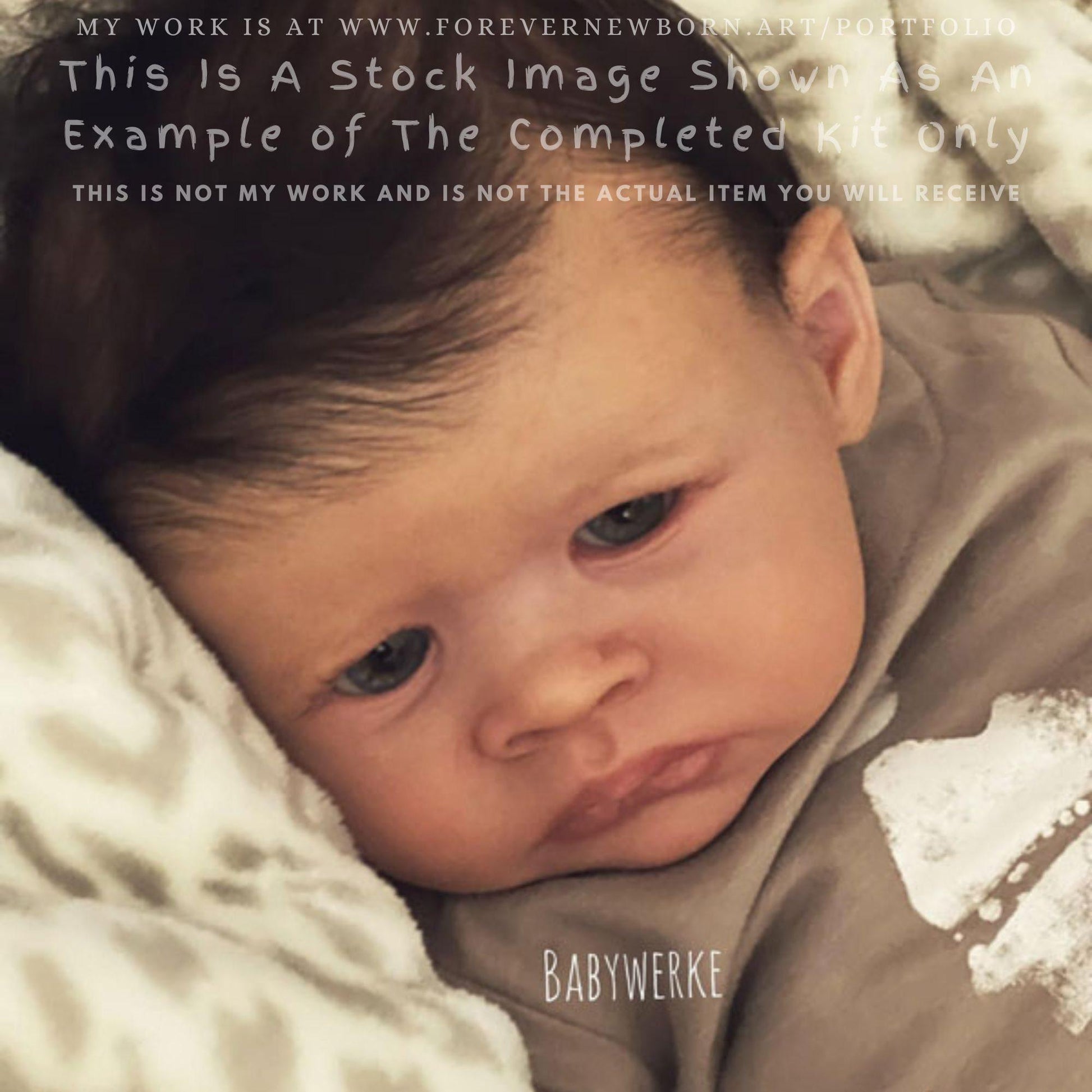 Amazing Hyper-Realistic Reborn Custom Doll Jamo by Melanie Gebhardt (19"+Full Limbs)
