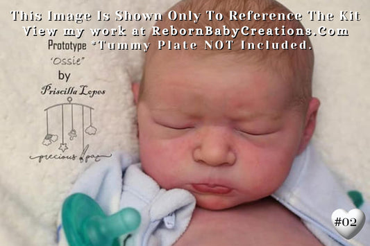 Free Baby Offer ~ Reborn Doll Sale ~ Custom Baby Ossie by Priscilla Lopes (19"+Full Limbs)
