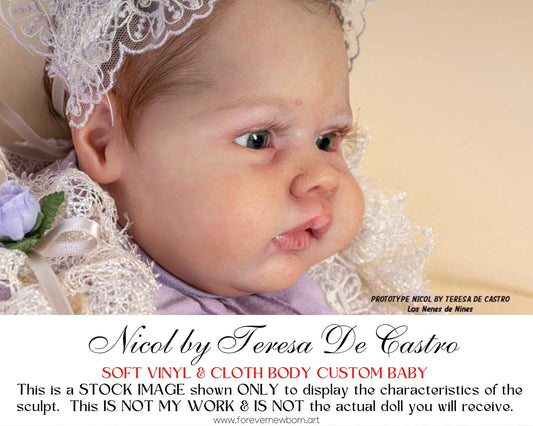 Lifelike Reborn Doll Nicol by Teresa De Castro (19"+ Full Limbs)