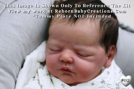 Reborn Baby **Hyper-Realistic** Reborn doll Paulin by Elisa Marx (19"+ Full Limbs)