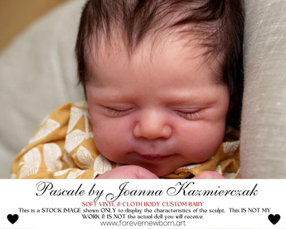 ECONOMY REBORN Pascale by Joanna Kazmierczak (18"+Full Limbs)