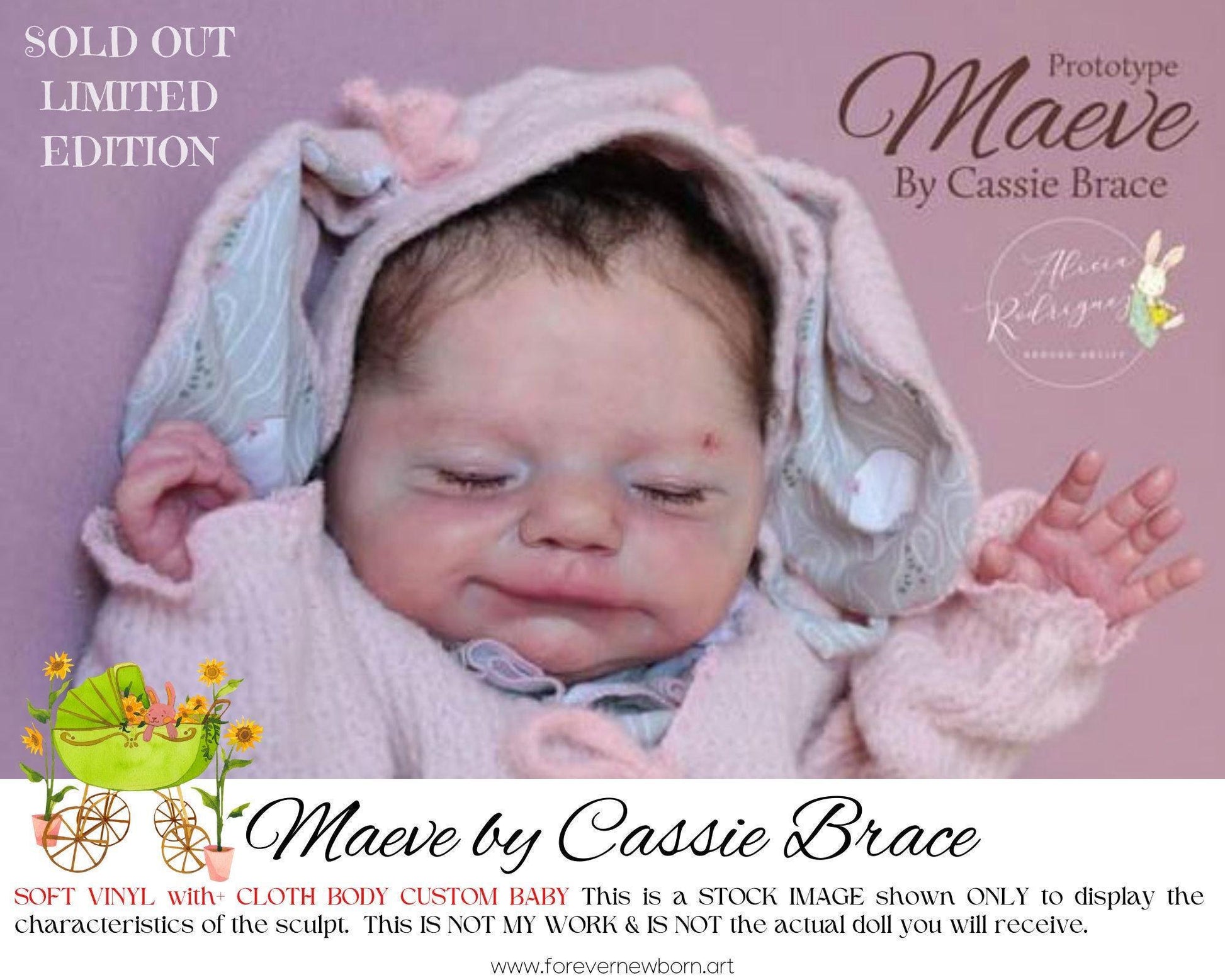 ECONOMY REBORN Maeve by Cassie Brace (19"+Full Limbs)