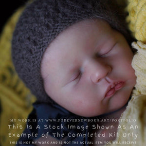 Descriptive image text