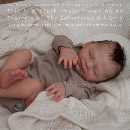 ECONOMY REBORN Everlee by Doris Moyers Hornbogen (20"+Full Limbs)