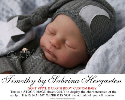ECONOMY REBORN Timothy by Sabrina Hergarten (21" Full Limbs) LE999