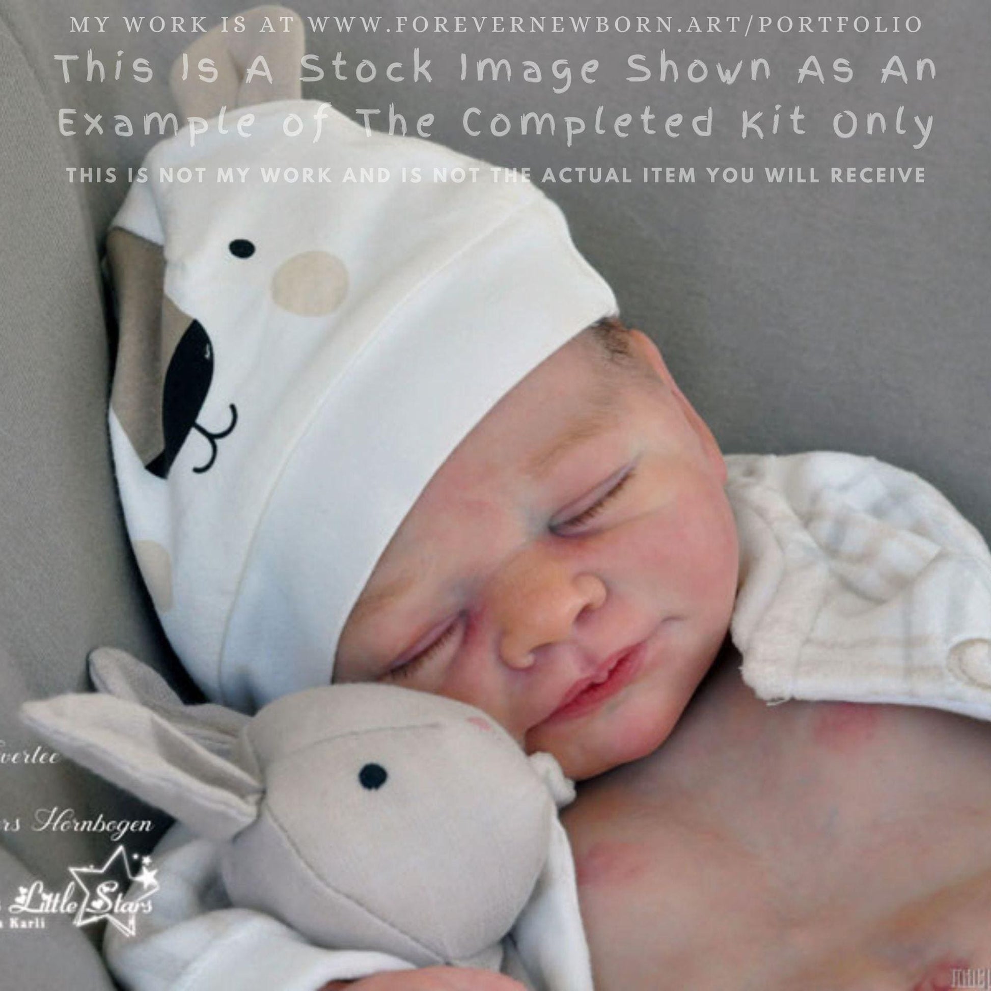 Extremely Realistic Reborn Baby Doll ~ Reborn Baby **Hyper-Realistic** Reborn Doll Everlee by Doris Moyers Hornbogen (20"+Full Limbs)