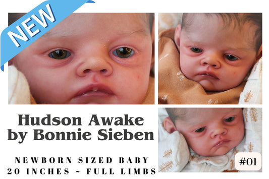 Reborn Baby **Hyper-Realistic** Reborn Doll Hudson Awake by Bonnie Sieben (20 inches Full Limbs)