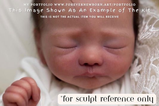 Extremely Realistic Reborn Baby Doll ~ Reborn Baby **Hyper-Realistic** Reborn Doll Ellie by Estibaliz Alonso 17" Full Limbs