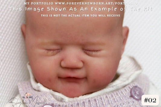 Reborn Baby **Hyper-Realistic** Reborn Doll Bella by Sandy Faber 18" Full Limbs