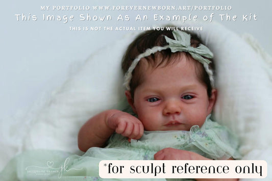 Lifelike Reborn Doll Lily by Joanna Kazmierczak 20" Full Limbs