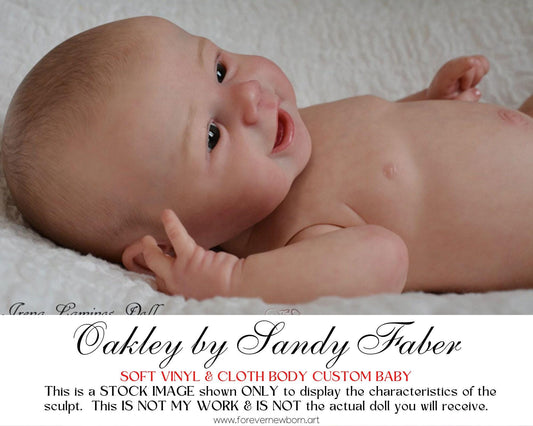 Ultimate Realism ~ Reborn Oakley By Sandy Faber (17"+Full Limbs)