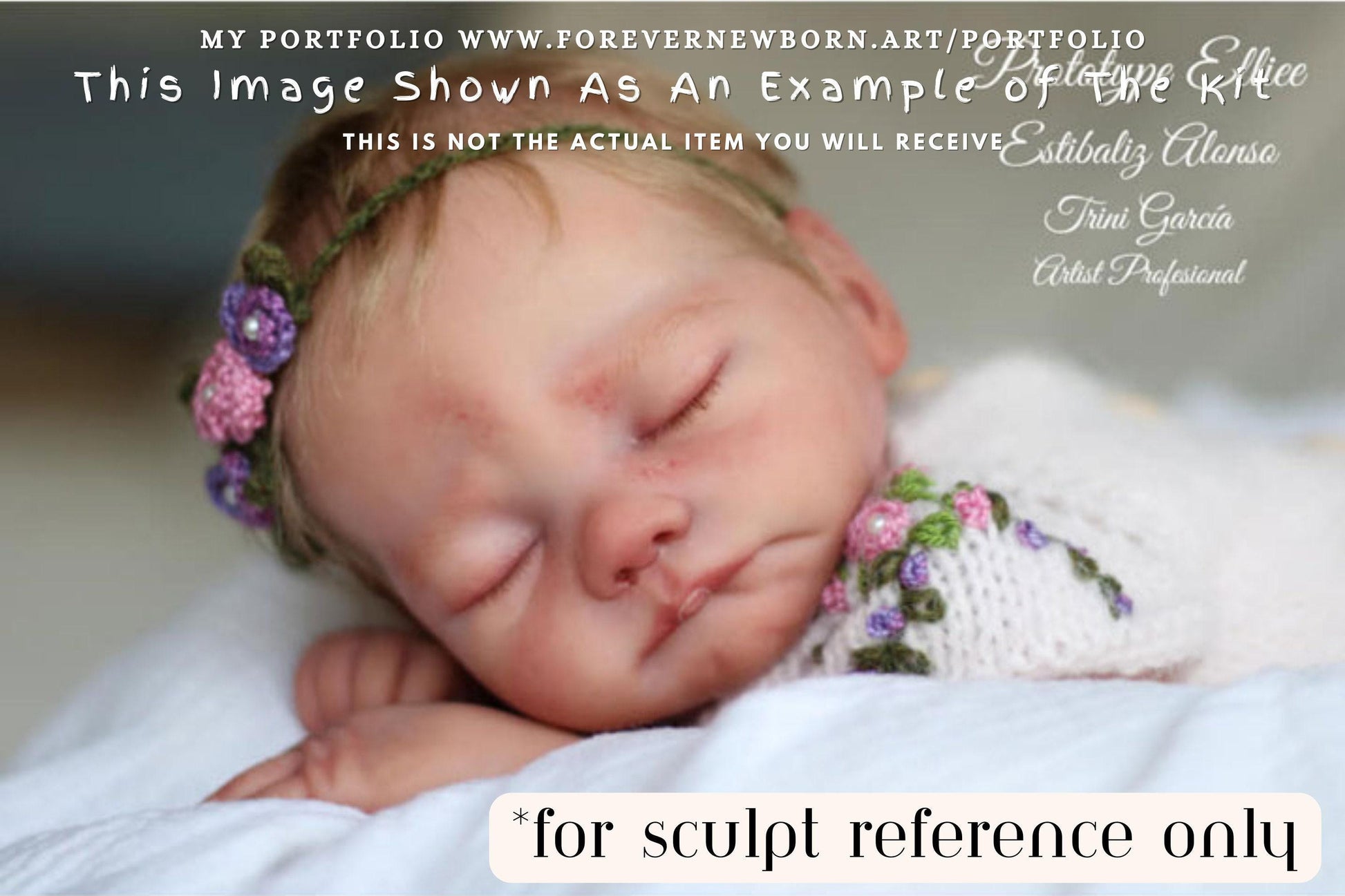 Extremely Realistic Reborn Baby Doll ~ Reborn Baby **Hyper-Realistic** Reborn Doll Ellie by Estibaliz Alonso 17" Full Limbs