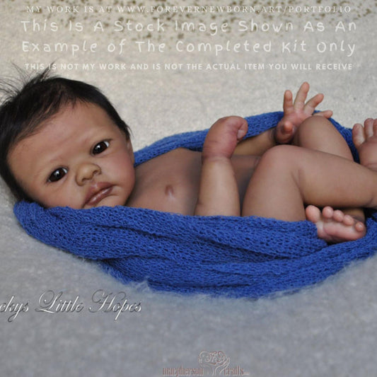 Reborn Baby **Hyper-Realistic** Reborn Doll Henley by Dawn McLeod (17"+Full Limbs)