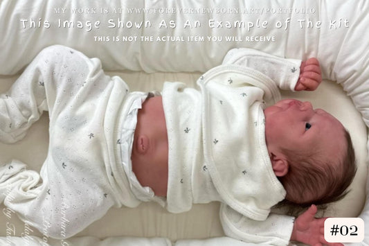 Reborn Baby **Hyper-Realistic** Reborn Doll Dolls ~ CuStOm ReBoRn Adalyn by Tasha Edenholm (20"+Full Limbs)