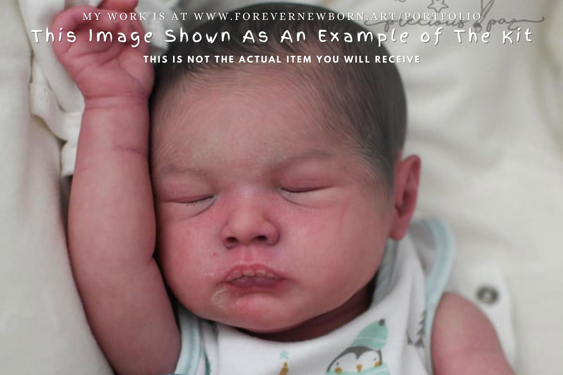 Extremely Realistic Reborn Baby Doll ~ Reborn Baby **Hyper-Realistic** Reborn Doll Flora by Priscila Lopez 19" Full Limbs