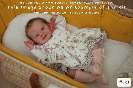 Reborn Baby **Hyper-Realistic** Reborn Doll Dottie by Adrie Stoete (18"+ Full Limbs) *Extended Processing Time. NEW SCULPT.