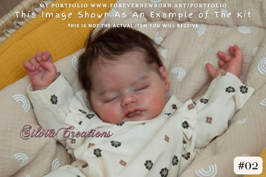 Reborn Baby **Hyper-Realistic** Reborn Doll Ginebra by Teresa de Castro (18"+ Full Limbs) *Extended Processing Time. NEW SCULPT.