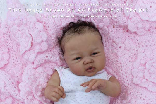 Extremely Realistic Reborn Baby Doll ~ Reborn Baby **Hyper-Realistic** Reborn Doll Emmelyn By Sandy Faber 20" Full Limbs