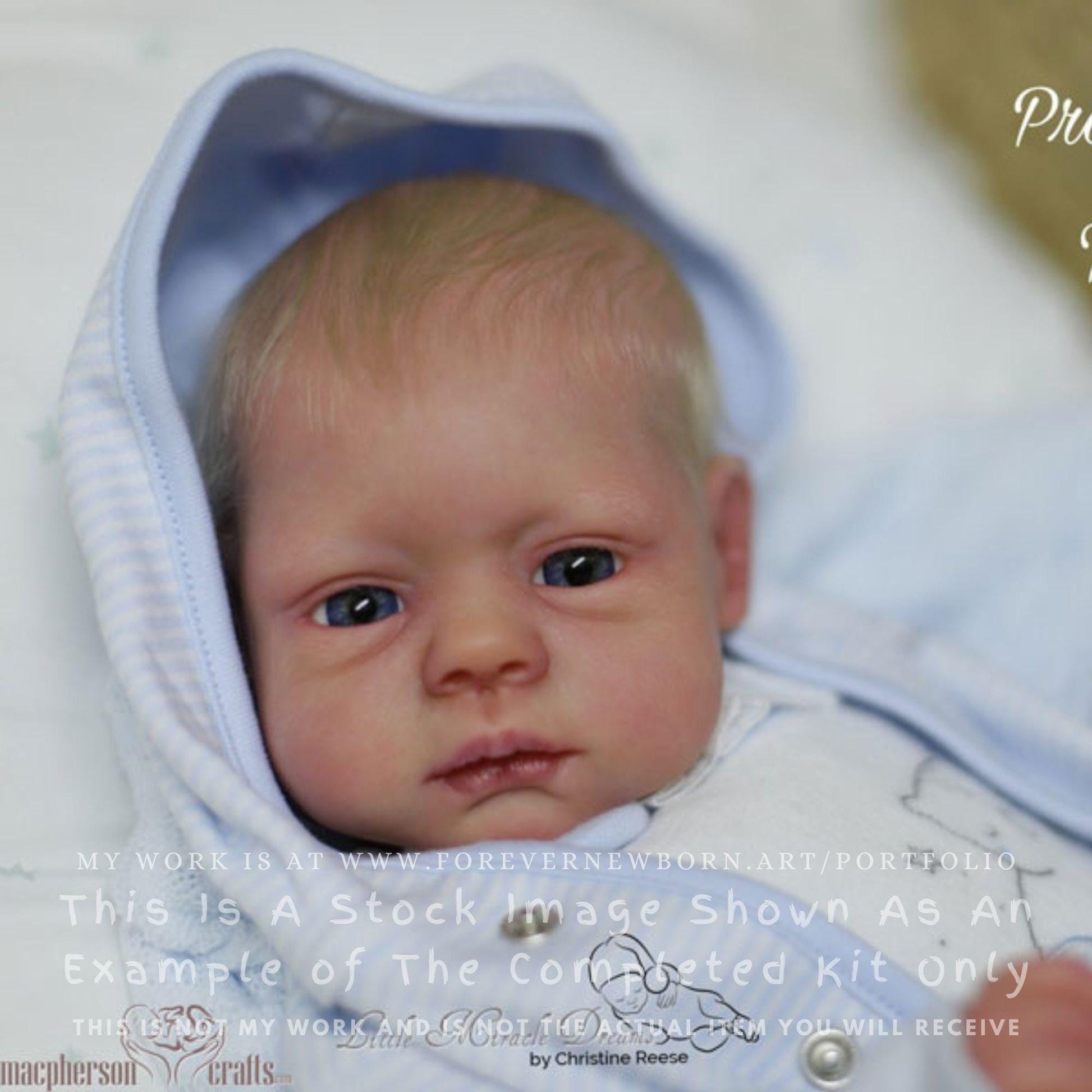 Extremely Realistic Reborn Baby Doll ~ Reborn Baby **Hyper-Realistic** Reborn Doll Elsa by Teresa De Castro (18"+Full Limbs)