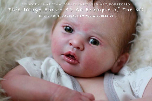 Extremely Realistic Reborn Baby Doll ~ Reborn Baby **Hyper-Realistic** Reborn Doll Finley By Heike Kolpin 19" 3/4 Arms Full Legs