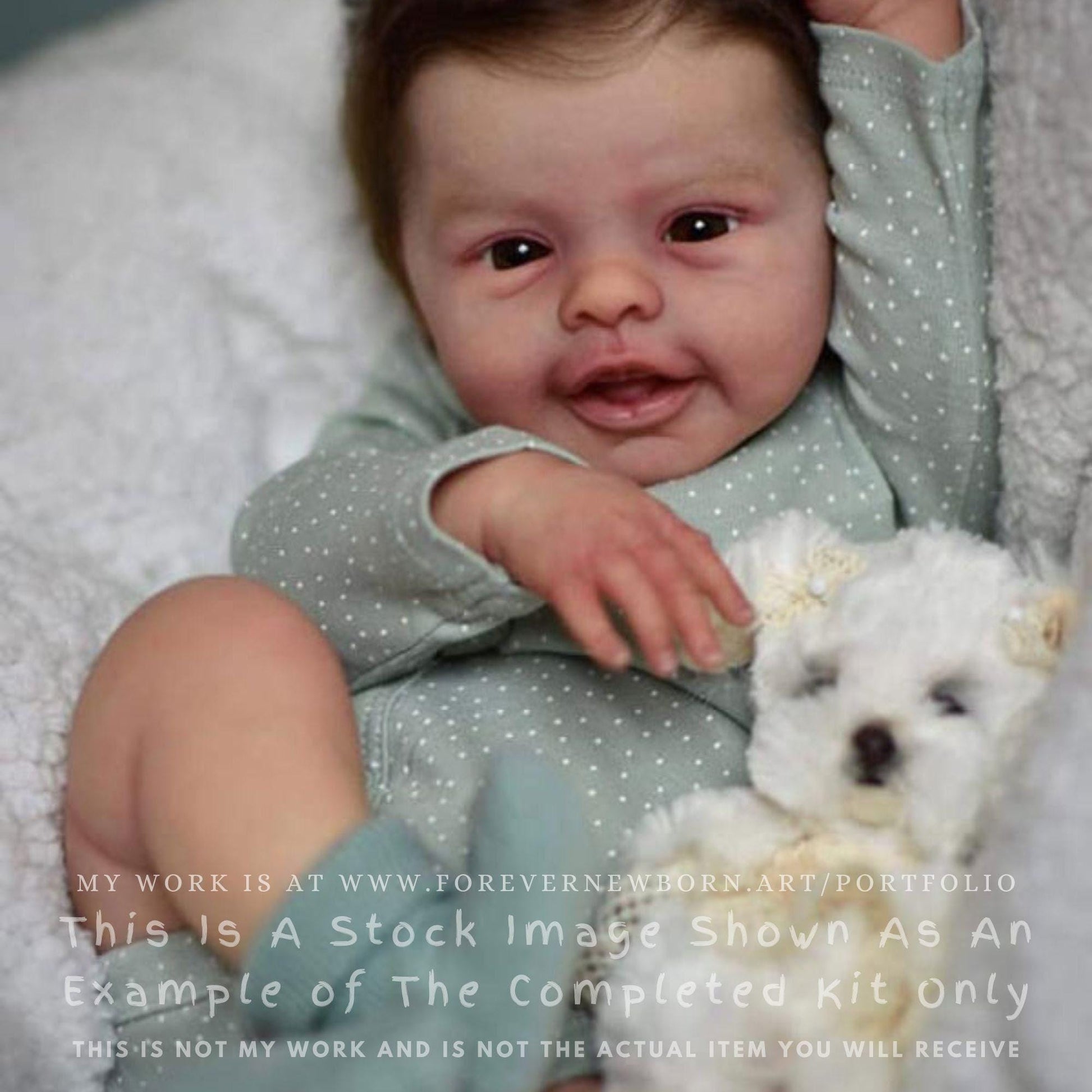 Reborn Baby **Hyper-Realistic** Reborn Doll Blossom by Andrea Arcello (17"+Full Limbs)