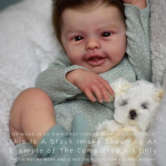 Reborn Baby **Hyper-Realistic** Reborn Doll Blossom by Andrea Arcello (17"+Full Limbs)