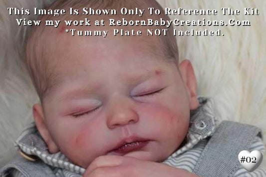 Amazing Hyper-Realistic Reborn Custom Doll Lark by Mayra Garza (19"+ Full Limbs)