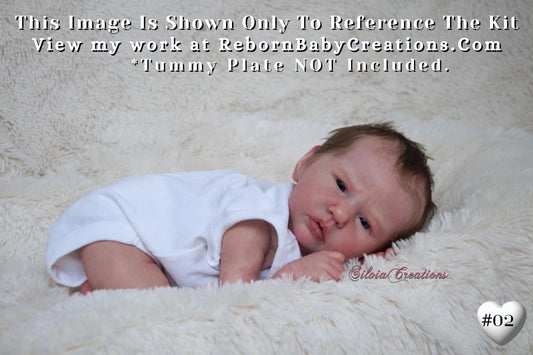 Amazing Hyper-Realistic Reborn Custom Doll LE Ellie-Sue by Bonnie Brown (19"+Full Limbs)