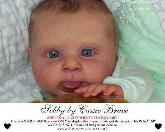 Reborn Baby **Hyper-Realistic** Reborn Doll Sebby by Cassie Brace (20"+ Full Limbs)
