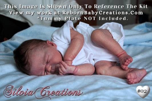 Extremely Realistic Reborn Baby Doll ~ Reborn Baby **Hyper-Realistic** Reborn Doll Franklin by Elisa Marx (19"+ 3/4 Arms & Full Legs)