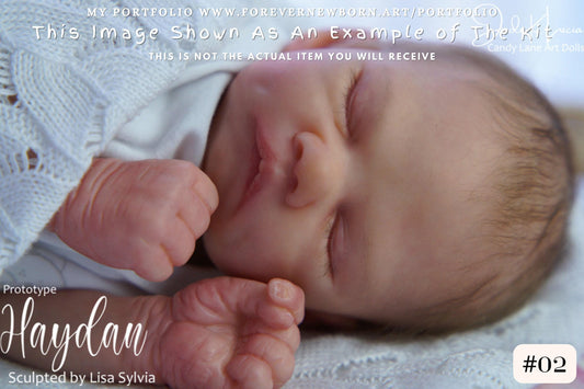 Extremely Realistic Reborn Baby Doll ~ Reborn Baby **Hyper-Realistic** Reborn Doll Haydan by Lisa Sylvia (16"+Full Limbs)