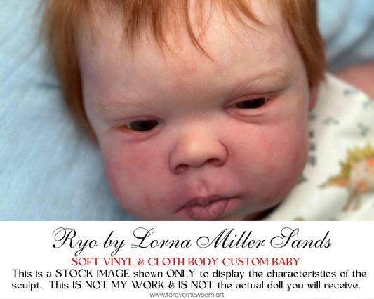Amazing Hyper-Realistic Reborn Custom Doll LE 600 Ryo by Lorna Miller Sands (23"+Full Limbs)